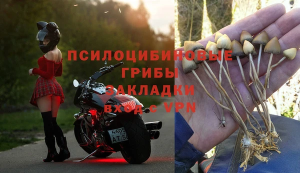 крисы Михайлов